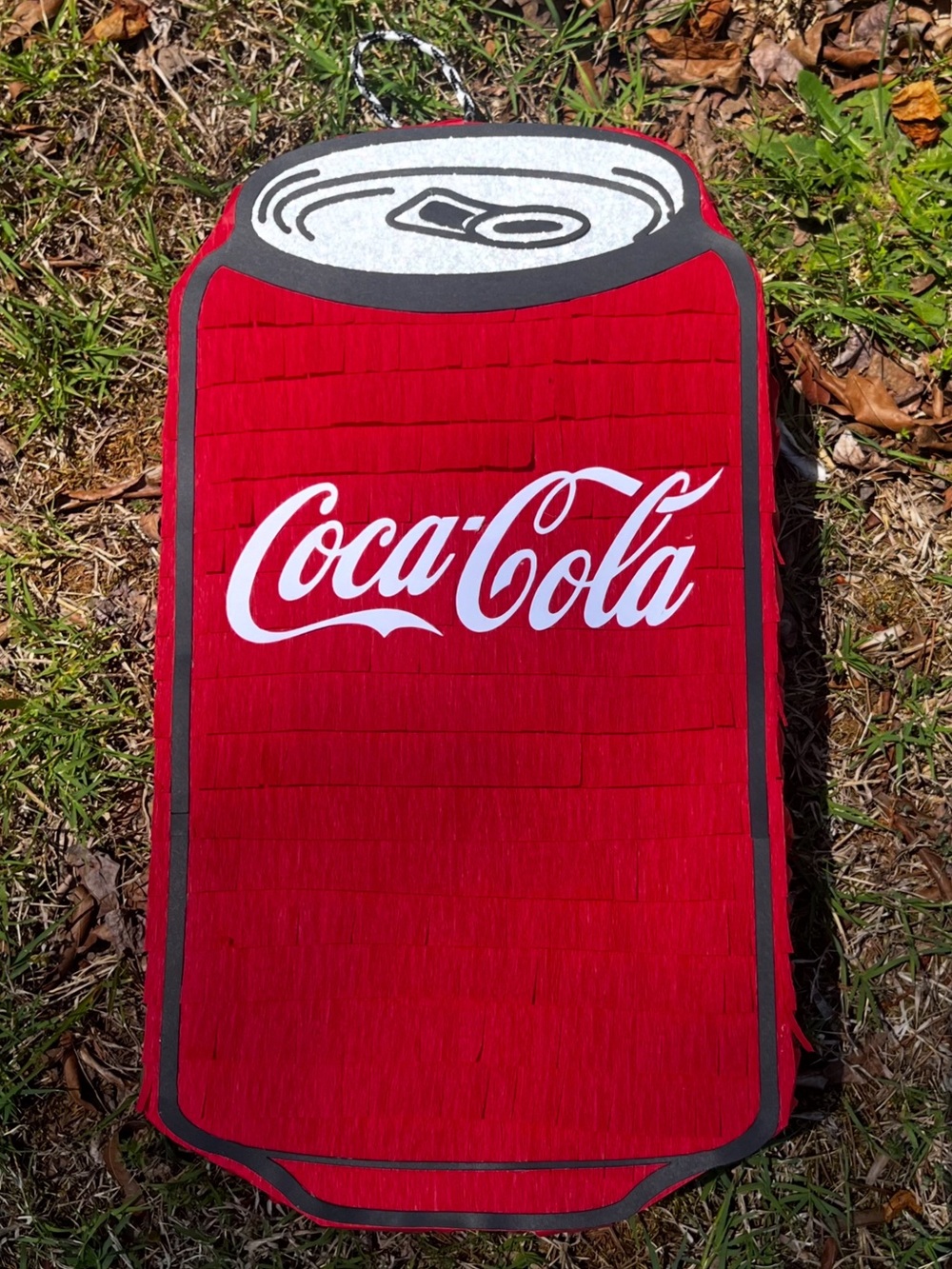 Coca cola can Pinata